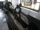 Cliquer pour agrandir